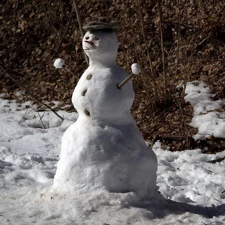 Balcon Du Mont Blanc Apartment Cordon